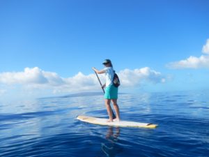Services for your recovery - Stand Up Paddle image