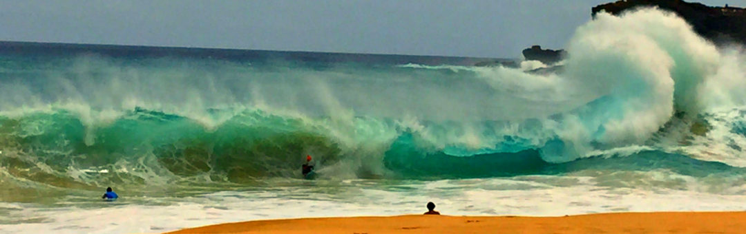 Lahaina Physical Therapy boogie boarder image